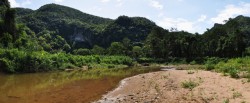 phong-nha-jungle